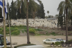 Islamic Graveyard